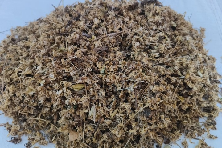 Rare White Turmeric (Poolankilangu) Roots
